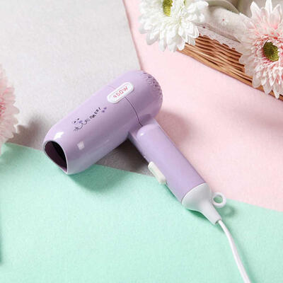 

Mini Portable 450W Hair Dryer With 2 Speed Settings Energy-efficient Folding Blow Dryer For Home Chinese Plug