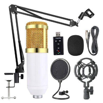 

BM800 Professional Suspension Microphone Kit Studio Live Stream Broadcasting Recording Condenser Microphone Set