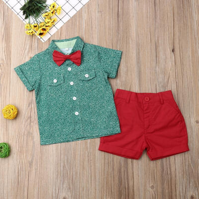 

Baby Boy Flamingo Short Sleeve Button Down Shirt Casual Shorts Outfits Set