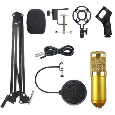 

BM800 Professional Suspension Microphone Kit Studio Live Stream Broadcasting Recording Condenser Microphone Set
