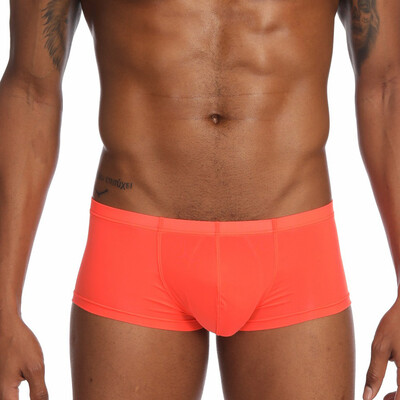 

Tailored Mens Sexy Solid Ice Silk Pouch Pants Underwear Soft Briefs Panties Underpants