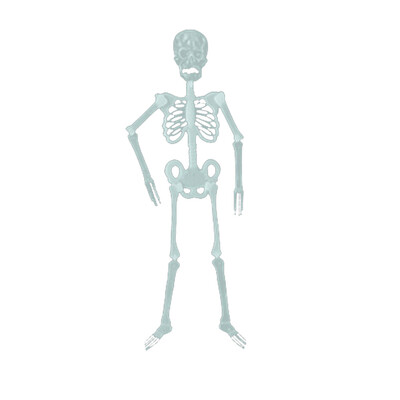

JPGIF Halloween Props Luminous Human Skeleton Hanging Decoration Outdoor Party US