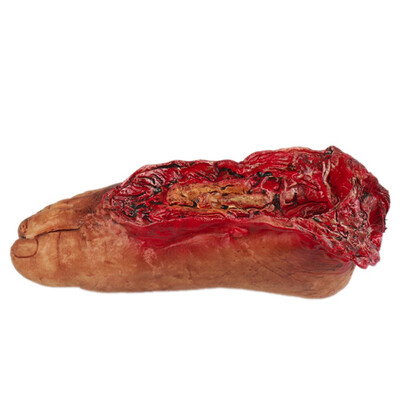 

Hot Broken Hand Foot With Rope Blood Horror Halloween Decoration Severed Bloody Limbs Hand Novelty Dead Broken Hand Gadgets