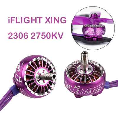 

Tailored 2Pcs iFlight XING 2306 1700KV Brushless Motor 2-4S For FPV RC Drone