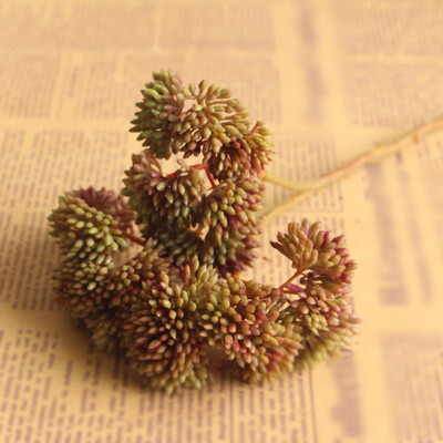 

Supplies Artificial Plants Mini Rice Fruit Fake Flower Succulent Home Decor