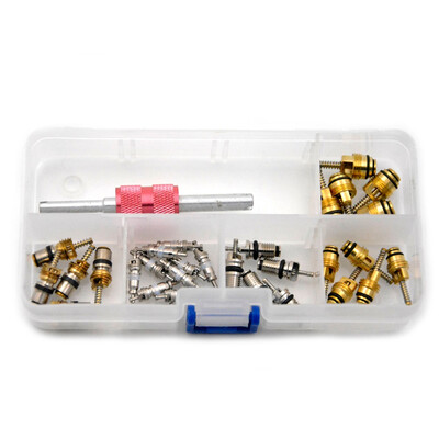 

R134a R12 30Pcs Valve Core&1pcs Valve Core Key Dual Remover Installer Tool Set for Regal Beverly Volkswagen Toyota VW Elantra