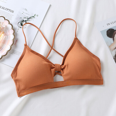 

Sexy Lady Beauty Back Gather Bow Tie Tube Top Underwear Triangle Cup Bra