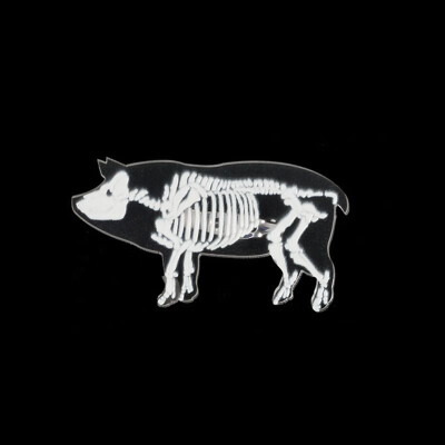 

Halloween Transparent Resin Brooches Pins Cartoon Cartoon Animal Collar Badge for Jeans Bags Backpacks Party Costume Decorations