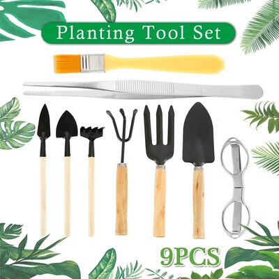 

9PCS Bonsai Tree Kit Plant Tools Gardening Tools Set for Beginner Small Bonsai Care