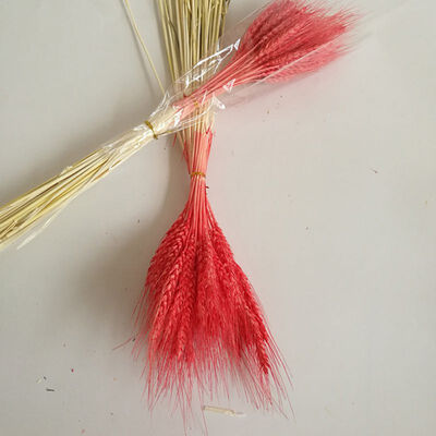 

50 PCS Wheat Ears Artificial Plants For Home Decorations Festive Supplies For Milk Tea Shop