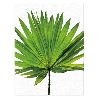 

3 Styles Palm Leaf Wall Sticker Home Hanging Wall Frameless Painting Poster Decoration Murals Nordic Home Watercolor Wallpaper