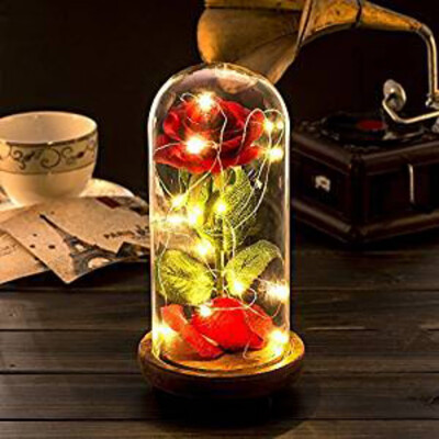 

Battery Powered LED Romantic Dried flowers Rose Flower Night Light for Valentines Day Birthday Gift Home Party Decoration