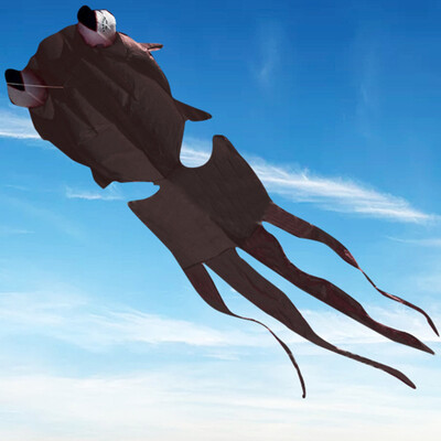 

Tailored Huge Outdoor Fun Sports Single Line Software Goldfish Kite Animal Kites Flying