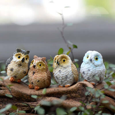 

4pcs Miniature Owls Fairy Garden Bonsai Craft Terrarium Figurine Landscape Decor