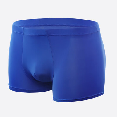 

Sexy Breathable Ice Silk Solid Color Boxer Briefs Fashion Novel Translucent Mens Boxer Briefs