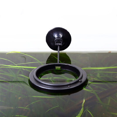 

Siaonvr Feeding Ring Aquarium Fish Tank Station Floating Food Tary Feeder SquareCircle