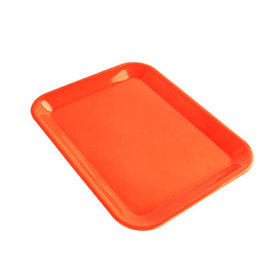 

Siaonvr Colorful Sorting Tray for Preschool&Early Childhood Education Learning Toys