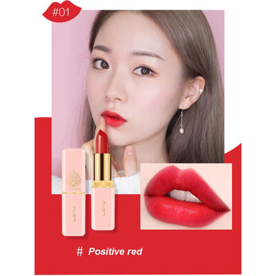 

6 Colors Professional Lips Makeup Waterproof Shimmer Long Lasting Pigment Nude red Shimmer Lipstick Luxury Makeup Cosmetic