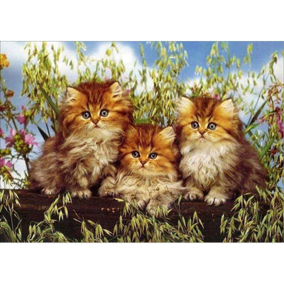 

New Fashion Home 5D DIY Diamond Painting Partial Diamond Covered Painting Art Adults Paint By Number Kits