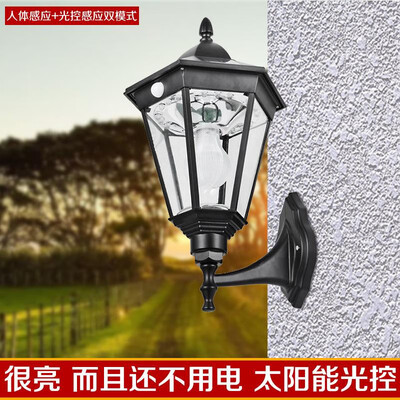 

Super bright home waterproof outdoor solar light LED garden light lawn light human body induction landscape light street light