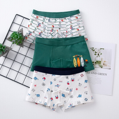 

3pcs 3-14T Baby Boy Underpants Casual Fashion Baby Boy Panties Children Cartoon Printing Underpants Kids Boxer