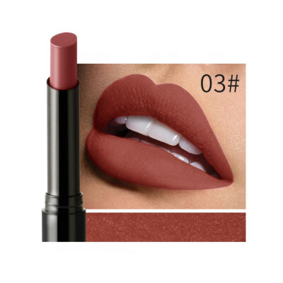 

NEW Matte Lipstick Pen waterproof Makeup Long Lasting Lip Stick Cosmetics Lips Lipstick