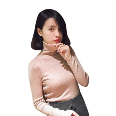 

Turtleneck Autumn Winter Bottom Sweater Women Knitted Sweater Slim Solid Color Long-Sleeved Fashion Pullover Sweater
