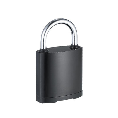 

Keyless Digital Lock Fingerprint Padlock IP65 Waterproof Smart Security Padlocks USB Charging for Gym Locker Backpack Cabinet Door