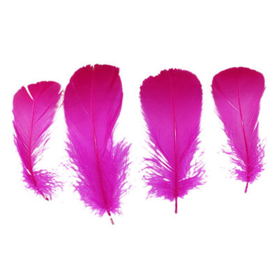 

100pcslot Natural Beautiful Goose Feather Decoration floating color wedding decorations