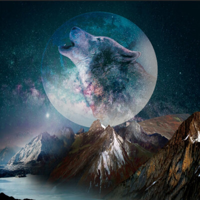 

Night Sky Wall Tapestry Home Decoration Wall Hanging Forest Starry Night Tapestries For Living Room Bedroom 150200cm130150cm
