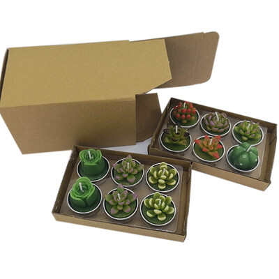 

Cactus Candle Simulated Succulent Plant Smokeless Scented Candle Valentine Day Gift Party Ornament Christmas Decoration for Home