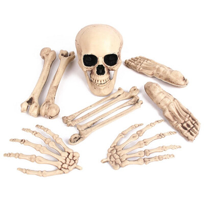 

Halloween Decorations Horror artificial Halloween Skeleton for Halloween Party Artificial Skull deco Halloween