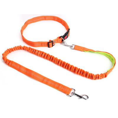 

Pet Dog Running Leashes Hands Freely Great for Walking dog leash Rope with reflective Jogging dog collars leash CL109
