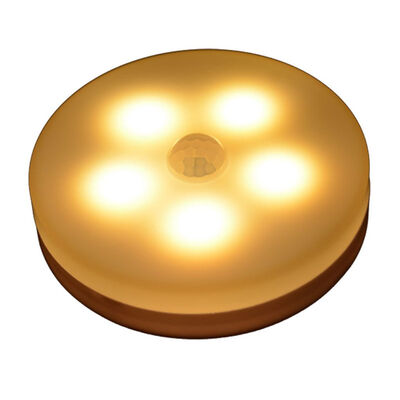 

Intelligent LED Fashion Infrared Human Body Motive Sensor Light for Aisle Corridor Nightlight