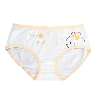 

Fashion Kids Panties Girls Briefs Female Child Underwear Ladies Underpanties Children Clothing 9-20T