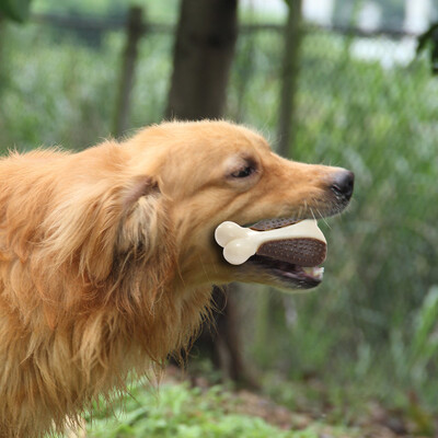 

Gobestart Chicken Leg Resistant To Bite Toy Dog Chew Food Gnawing Teeth Pet Toys