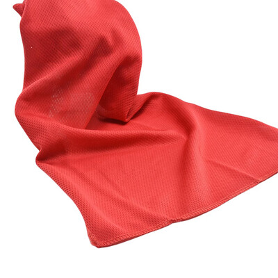 

Cooling Towel Fast Drying Soft Lightweight Super Absorbent Ultra Compact Microfiber Towel Suitable