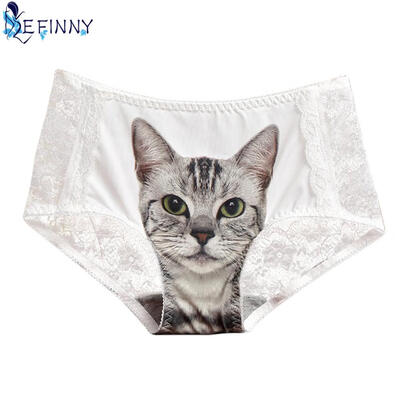 

Hot Sale Sexy Women Briefs Cool Seamless Health Hygiene Skin Care 3D Cat Print Panties Lace Super Transparent Girl Lingerie