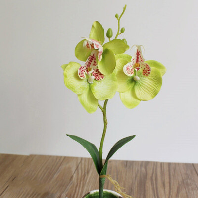 

2Pcs Home Mini Moth Orchids Triple Head Phalaenopsis Artificial Butterfly Orchid Silk Flower Home Wedding Decoration