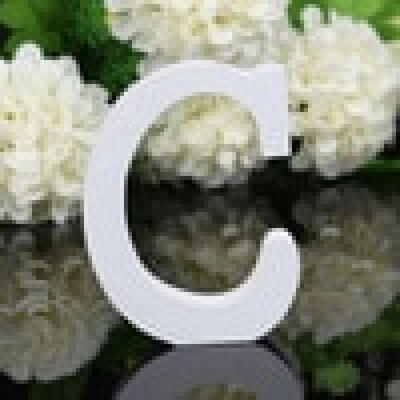 

New A-Z Wooden Wood Letters Alphabet Word Free Standing Wedding Party Home Decoration