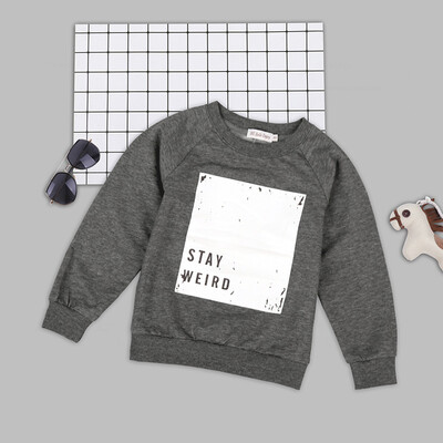 

Autumn Baby Boy Long Sleeve Letter Pattern Sweatshirt Casual Toddler Outerwear Clothes