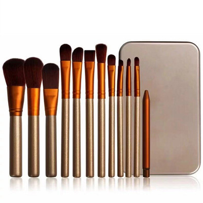 

Makeup Brushes Set 12pcslot Eyeshadow Eyeliner Eyelash Eyebrow Brushes For Make up Portable Eye Brush Set with Metal box