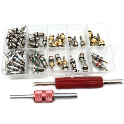 

100Pcs Automotive Air Conditioning Part Valve Core&2Pcs Car AC Valve Core Remover Tool