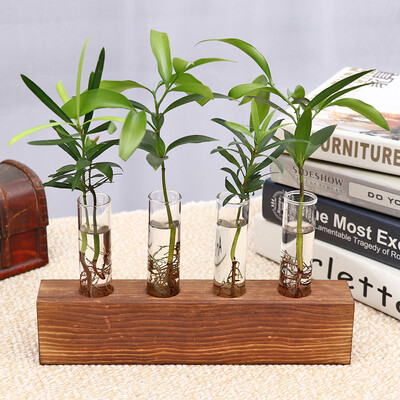 

Toponeto Creative Hydroponic Plant Transparent Vase Wooden Frame Coffee Shop Room Decor