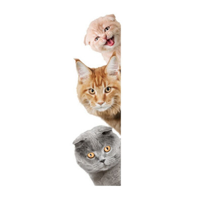 

Creative 3D Cat Dog Door Wall Stickers Removable Sitting Room Porch Bedroom Wall Decals Animals Mural Art Refrigerator Sticker
