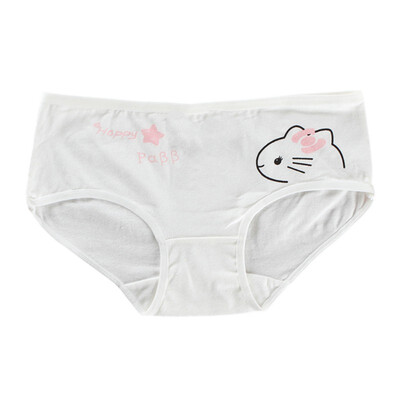 

Fashion Kids Panties Girls Briefs Female Child Underwear Ladies Underpanties Children Clothing 9-20T