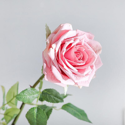

Factory direct Yiwu artificial flower wholesale single romantic rose home decoration fake flower wedding simulation plant 8007A re