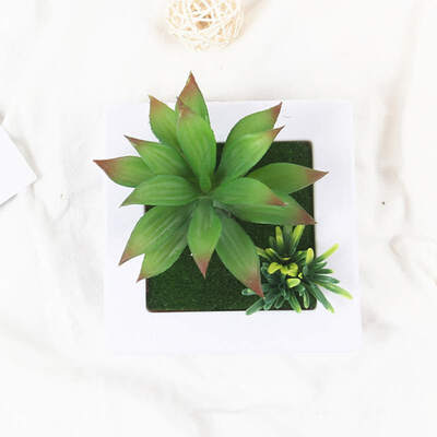 

Artificial succulent plants Imitation fake flowers wood photo frame 3D Decoration Green Wall Hanging home decor