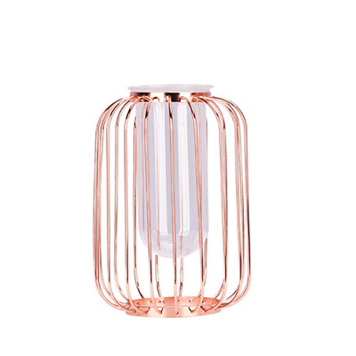 

Toponeto Creative Hydroponic Plant Transparent Vase Frame Coffee Shop Room Decor