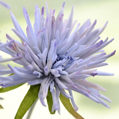

Factory direct single crab claw chrysanthemum simulation fake flower pot plant home decoration flower wedding road lead bonsai Pin